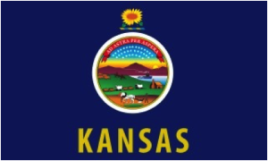 Kansas Flag