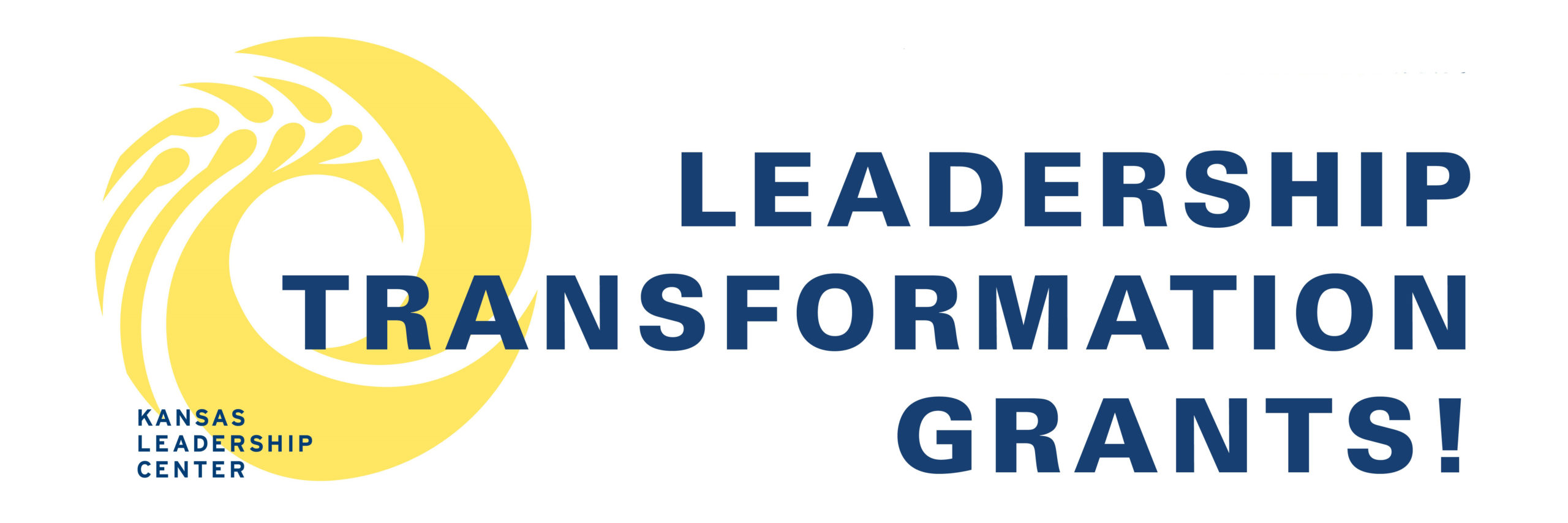 Leadership Transformation Grant Application