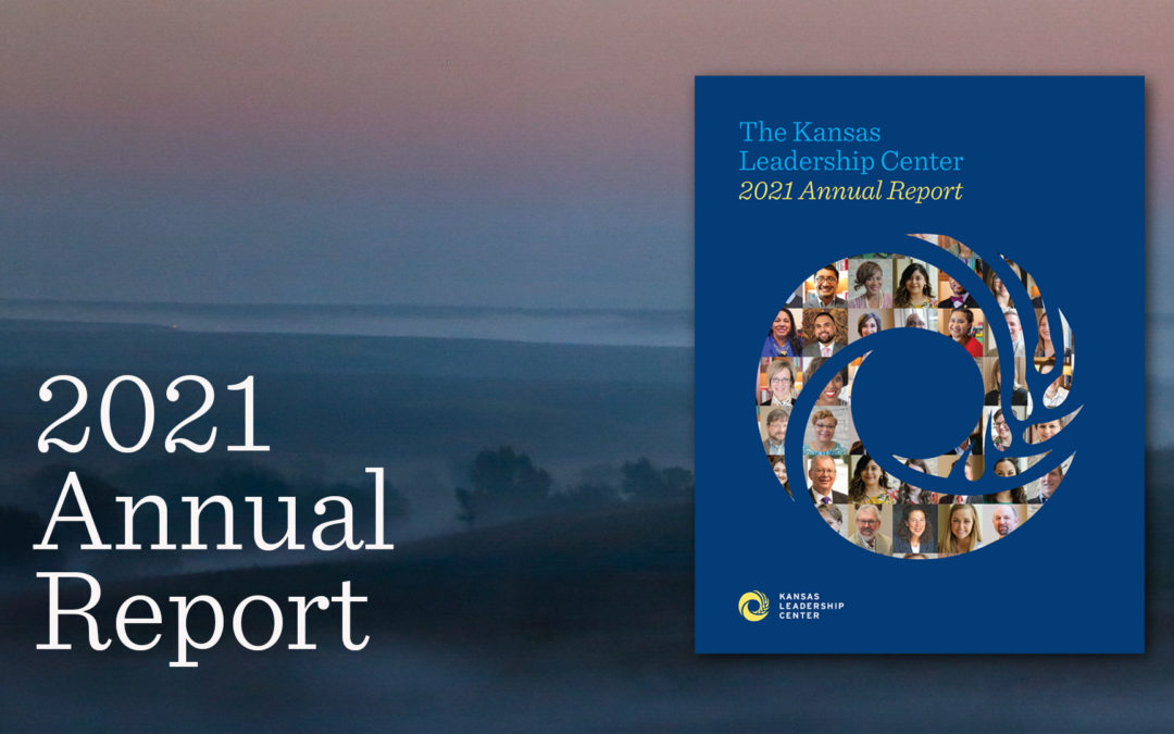 Graphic image of Annual Report cover