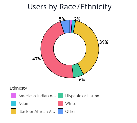 KBTV web app users by Race and ethnicity